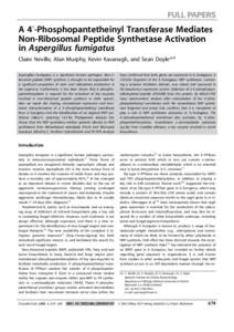 A 4’-Phosphopantetheinyl Transferase Mediates Non-Ribosomal Peptide Synthetase Activation in Aspergillus fumigatus Claire Neville, Alan Murphy, Kevin Kavanagh, and Sean Doyle*[a] Aspergillus fumigatus is a significant 