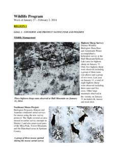 WDFW Wildlife Program Weekly Report January 27 - February 2, 2014