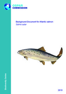 Microsoft Word - P00480_salmon.doc