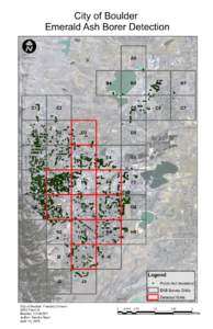 City of Boulder Emerald Ash Borer Detection I  A5