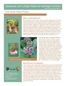 Delaware and Lehigh National Heritage Corridor Where America was Built ™ Fact Sheet: Native Plants What is a Native Species?