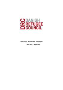 STRATEGIC PROGRAMME DOCUMENT June 2013 – March 2014. 1. SITUATIONAL ANALYSIS The US-led invasion of Iraq in 2003 and the subsequent conflict caused the displacement of about 4.5 million Iraqi civilians. - 2, 5 million