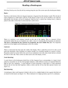 dSNAP Quick Guide Reading a Dendrogram Selecting Dendrograms from the tab bar running along the top of the screen opens the dendrogram display. Basics: Each box at the bottom of the tree diagram represents a fragment fro