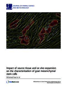 Tumor necrosis factor alpha inhibits in vitro bovine embryo development through a prostaglandin mediated mechanism