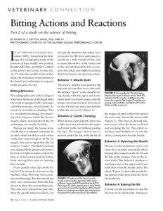VETERINARY CONNECTION  Bitting Actions and Reactions