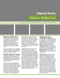 Alberta Parks Whitehorse Wildland Park ...picturesque falls...pristine landscapes...clean mountain air... Whitehorse Wildland Park