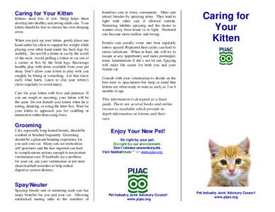 Caring for Your Kitten Kittens need lots of rest. Sleep helps them develop into healthy and strong adult cats. Your kitten should be free to choose his own sleeping areas. When you pick up your kitten, gently place one