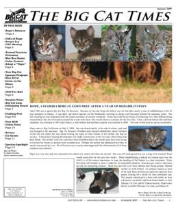 SummerIn this issue The Big Cat Times