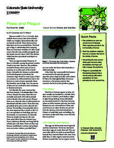 Fleas and Plague Fact Sheet No.	[removed]Insect Series| Home and Garden  by W. Cranshaw and R. Wilson*