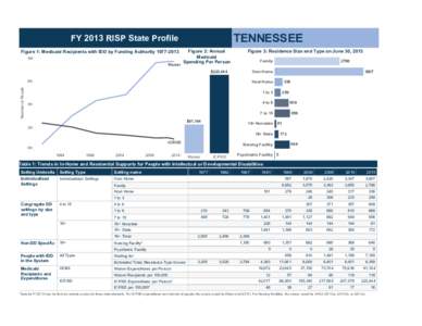 TENNESSEE  FY2013RI SPSt at ePr