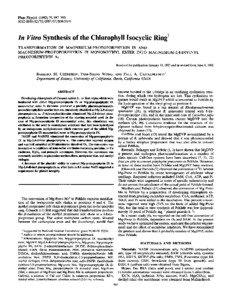 Tetrapyrroles / Magnesium / Physiology / Protoporphyrin IX / Magnesium in biology / Chlorophyll / Proto / Methylene blue / Aspirin / Chemistry / Biology / Plant physiology