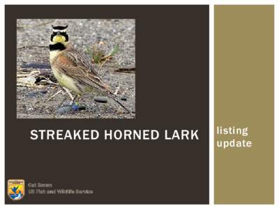 STREAKED HORNED LARK  Cat Brown US Fish and Wildlife Service  listing