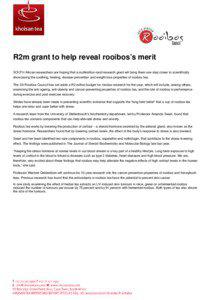 R2m grant to help reveal rooibos’s merit SOUTH African researchers are hoping that a multimillion-rand research grant will bring them one step closer to scientifically showcasing the soothing, healing, disease-prevention and weight-loss properties of rooibos tea.
