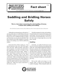 Saddling and Bridling Horses Safely