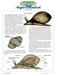 by Laurel Garlicki  Snails Snails, with clams and mussels, are members of the second largest group of animals, the mollusks. Mollusks vary in appearance from tiny snails to