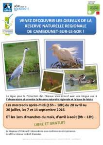 VENEZ DECOUVRIR LES OISEAUX DE LA RESERVE NATURELLE REGIONALE DE CAMBOUNET-SUR-LE-SOR ! La Ligue pour la Protection des Oiseaux vous attend avec une longue vue à l’observatoire situé entre la Réserve naturelle régi