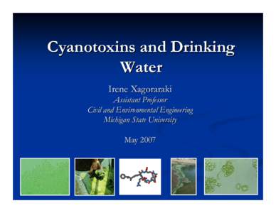 Cyanotoxins and Drinking Water Irene Xagoraraki Assistant Professor Civil and Environmental Engineering Michigan State University