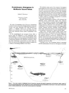 Aquatic ecology / Nototheniidae / Oceanography / Pelagic fish / Notothenioidei / Antarctic cod / McMurdo Station / McMurdo Sound / Benthic zone / Fish / Ichthyology / Fisheries