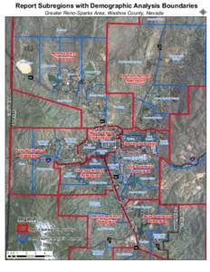 Report Subregions with Demographic Analysis Boundaries Greater Reno-Sparks Area, Washoe County, Nevada Palomino Valley Red Rock