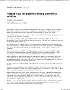Potent new rat poisons killing California wildlife - Sacramento News - Local and Breaking Sacramento News | Sacramento Bee
