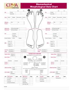 Biomechanical Morphological Data Chart 	Ext. L