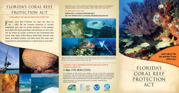 FLORIDA’S COR AL REEF  PROTECTION ACT Learn about this Law and how it may affect you.