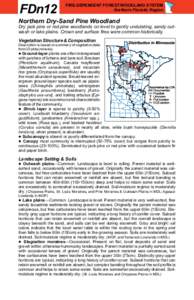 FDn12 Northern Dry-Sand Pine Woodland factsheet
