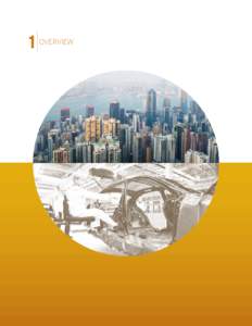 1 Overview  1 Overview As FY2010 drew to a close,1 the global economy appeared to be emerging from the worst recession in over 60 years. The recovery remained uneven, however, with some economies growing very robustly, 