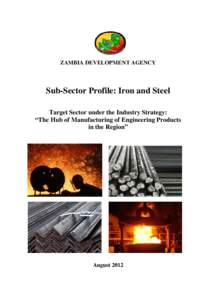 Microsoft Word - Iron and Steel Sub Sector Profile (August 2012)