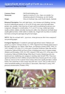 Lygodium microphyllum (Cav.) R. Brown Lygodiaceae/Climbing Fern Family Common Name: Synonymy: Origin: