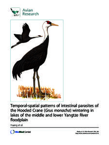 Temporal-spatial patterns of intestinal parasites of the Hooded Crane (Grus monacha) wintering in lakes of the middle and lower Yangtze River floodplain Huang et al. Huang et al. Avian Research 2014, 5:6