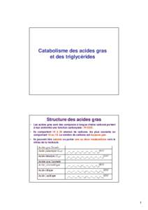 6-Catabolisme acides gras et lipides [Mode de compatibilité]