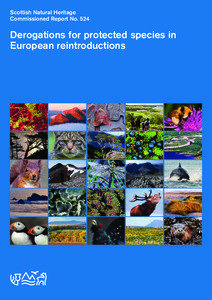 Beavers / Conservation / Habitats Directive / Birds Directive / Reintroduction / Eurasian Beaver / Eurasian Lynx / Conservation status / European Protected Species / Fauna of Europe / European Union directives / Conservation biology