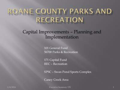 Capital Improvements – Planning and Implementation 101 General Fund[removed]Parks & Recreation 171 Capital Fund REC – Recreation