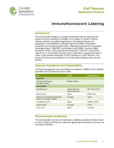 iCell Neurons - Immunofluorescent Labeling Application Protocol