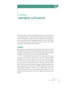 CHAPTER 3  Jatropha cultivation