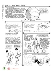 UNITED STATES BOTANIC GARDEN www.usbg.gov SOIL TEXTURE Science Page SOIL PARTICLES Soil is made up of particles of rock that