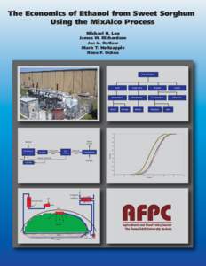 The Economics of Ethanol from Sweet Sorghum Using the MixAlco Process Michael H. Lau James W. Richardson Joe L. Outlaw Mark T. Holtzapple