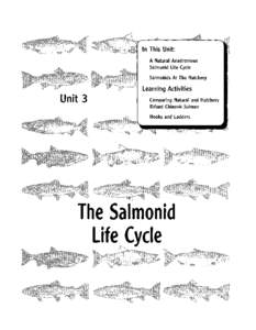 Rainbow trout / Spawn / Chinook salmon / Coho salmon / Trout / Chum salmon / Sockeye salmon / Salmon run / Atlantic salmon / Fish / Salmon / Oncorhynchus