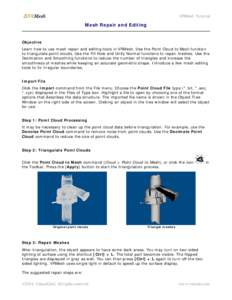 Microsoft Word - VRMeshTutorial-MeshRepair