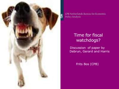 Time for fiscal watchdogs? Discussion of paper by Debrun, Gerard and Harris  Frits Bos (CPB)