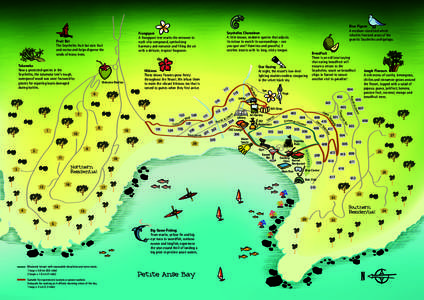 Geography / Takamaka /  Seychelles / Seychelles / Breadfruit / Food and drink / Districts of Seychelles / Earth