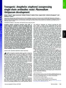 Biology / Apicomplexa / Malaria / Genetics / Plasmodium / Molecular biology / Transgene / Site-specific recombination / Circumsporozoite protein / Plasmodium falciparum / Mosquito / Single-chain variable fragment