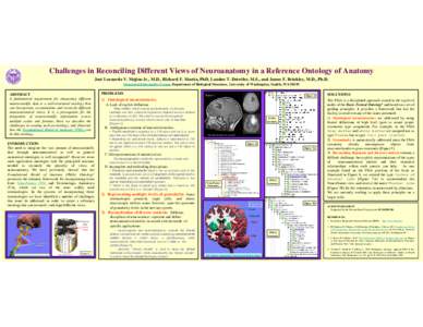 Challenges in Reconciling Different Views of Neuroanatomy in a Reference Ontology of Anatomy José Leonardo V. Mejino Jr., M.D., Richard F. Martin, PhD, Landon T. Detwiler, M.S., and James F. Brinkley, M.D., Ph.D. Struct