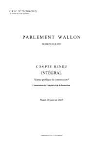 C.R.I.C. N° [removed]2e session de la 10e législature PARLEMENT WALLON SESSION[removed]