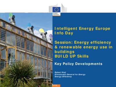 Intelligent Energy Europe Info Day Session: Energy efficiency & renewable energy use in buildings BUILD UP Skills