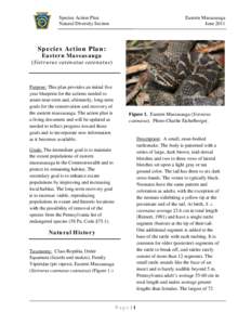 Species Action Plan Natural Diversity Section Eastern Massasauga June 2011