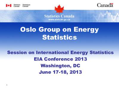 Oslo Group on Energy Statistics Session on International Energy Statistics EIA Conference 2013 Washington, DC June 17-18, 2013