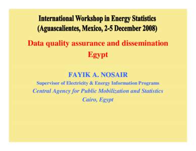 Demographics of Egypt / Central Agency for Public Mobilization and Statistics / Information science / Demography / Survey methodology / Data quality / Energy statistics / Census / Statistics / Information / Science