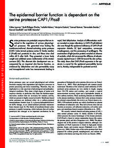 JCB: ARTICLE  The epidermal barrier function is dependent on the serine protease CAP1/Prss8 Céline Leyvraz,1 Roch-Philippe Charles,1 Isabelle Rubera,1 Marjorie Guitard,1 Samuel Rotman,2 Bernadette Breiden,3 Konrad Sandh